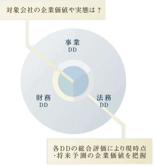 監査 - デューディリジェンス